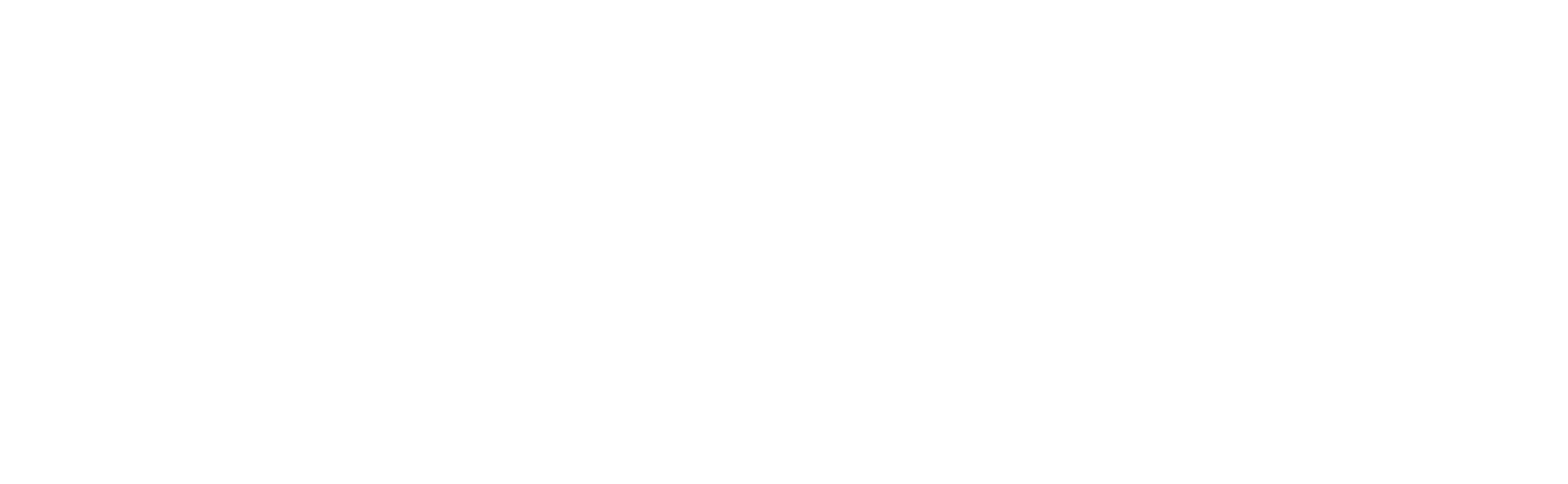 sfs logo weiß-02-02